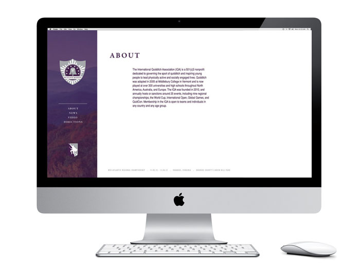 Quidditch Website2