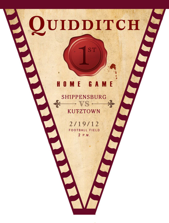 Quidditch Poster3
